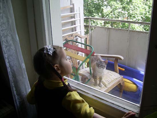 Соседская кошка на балконе